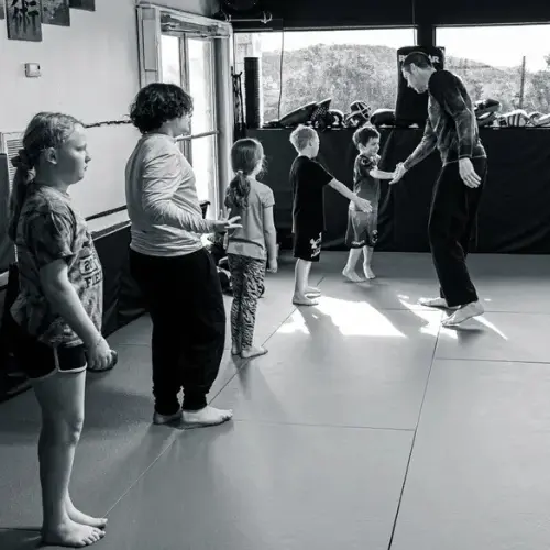 Home school martial arts